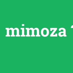 mimoza