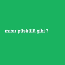 mısır püskülü gibi