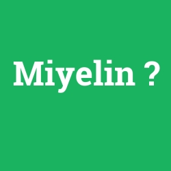 Miyelin