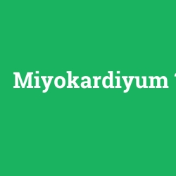 Miyokardiyum foto galeri