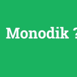 Monodik foto galeri