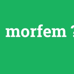 morfem