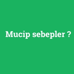 Mucip sebepler