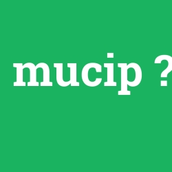 mucip
