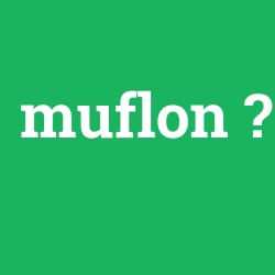 muflon