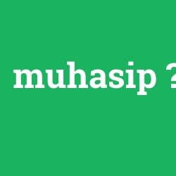 muhasip