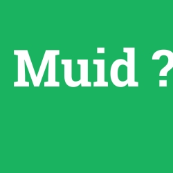 Muid