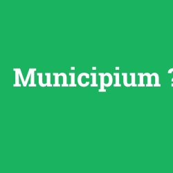 Municipium