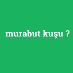 murabut kuşu