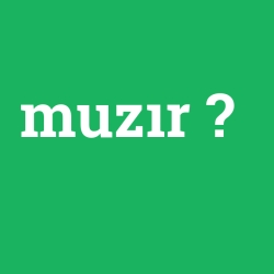 muzır