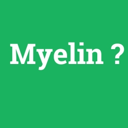 Myelin foto galeri