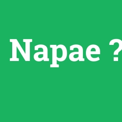 Napae