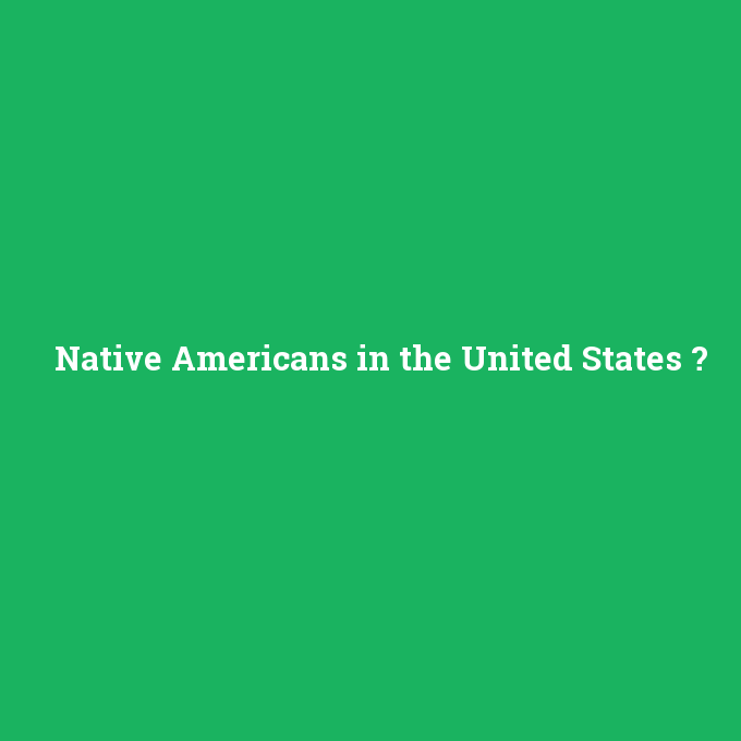 Native Americans in the United States, Native Americans in the United States nedir ,Native Americans in the United States ne demek