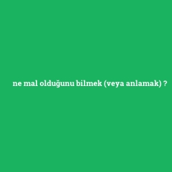 ne mal olduğunu bilmek (veya anlamak)