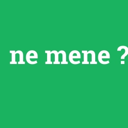 ne mene