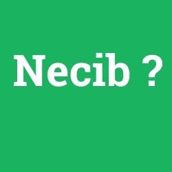 Necib