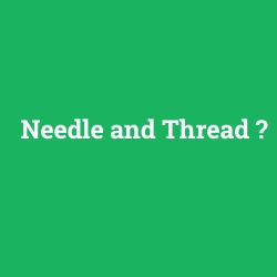 Needle and Thread