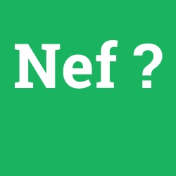 Nef