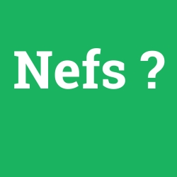 Nefs