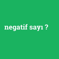 negatif sayı
