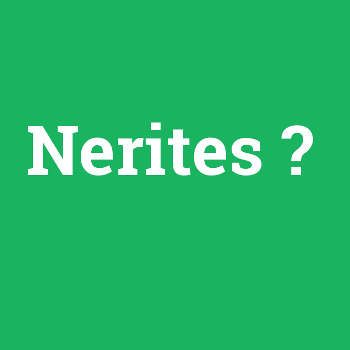 Nerites, Nerites nedir ,Nerites ne demek