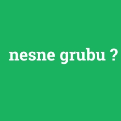 nesne grubu