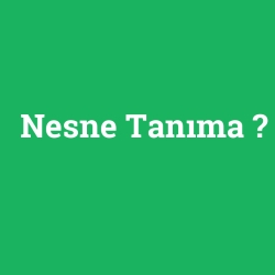 Nesne Tanıma