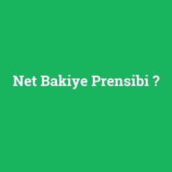 Net Bakiye Prensibi