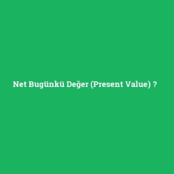Net Bugünkü Değer (Present Value)
