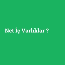 Net İç Varlıklar