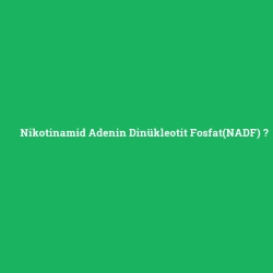 Nikotinamid Adenin Dinükleotit Fosfat(NADF)
