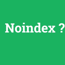 Noindex