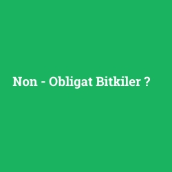Non - Obligat Bitkiler