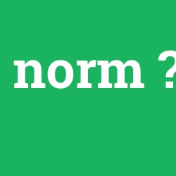 norm
