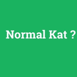 Normal Kat
