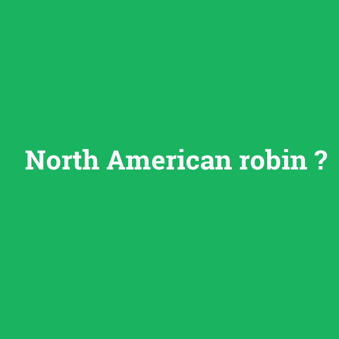 North American robin, North American robin nedir ,North American robin ne demek