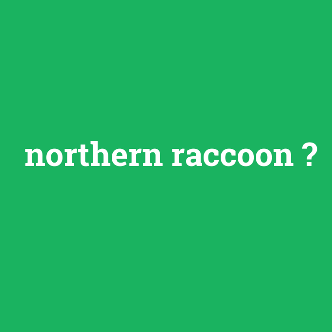 northern raccoon, northern raccoon nedir ,northern raccoon ne demek
