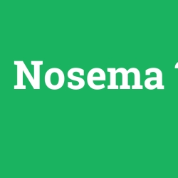 Nosema foto galeri