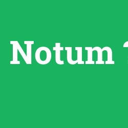 Notum foto galeri