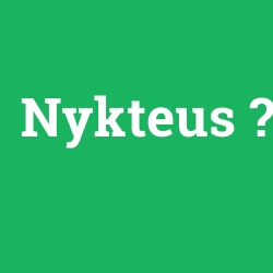 Nykteus