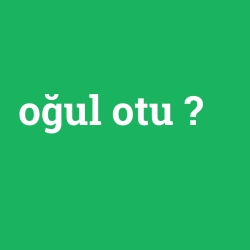 oğul otu