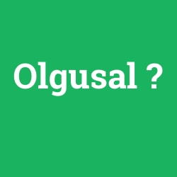 Olgusal