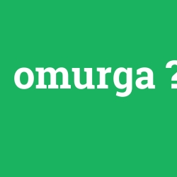 omurga