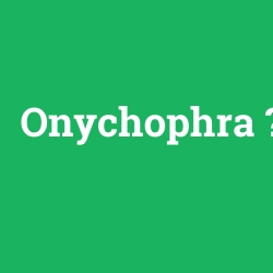 Onychophra foto galeri