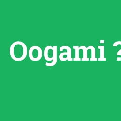 Oogami