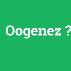 Oogenez