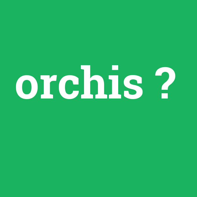 orchis, orchis nedir ,orchis ne demek