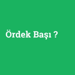 Ördek Başı