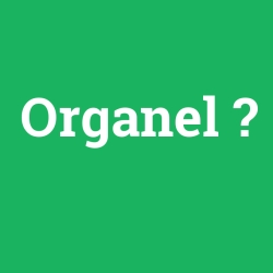Organel foto galeri