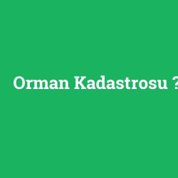 Orman Kadastrosu